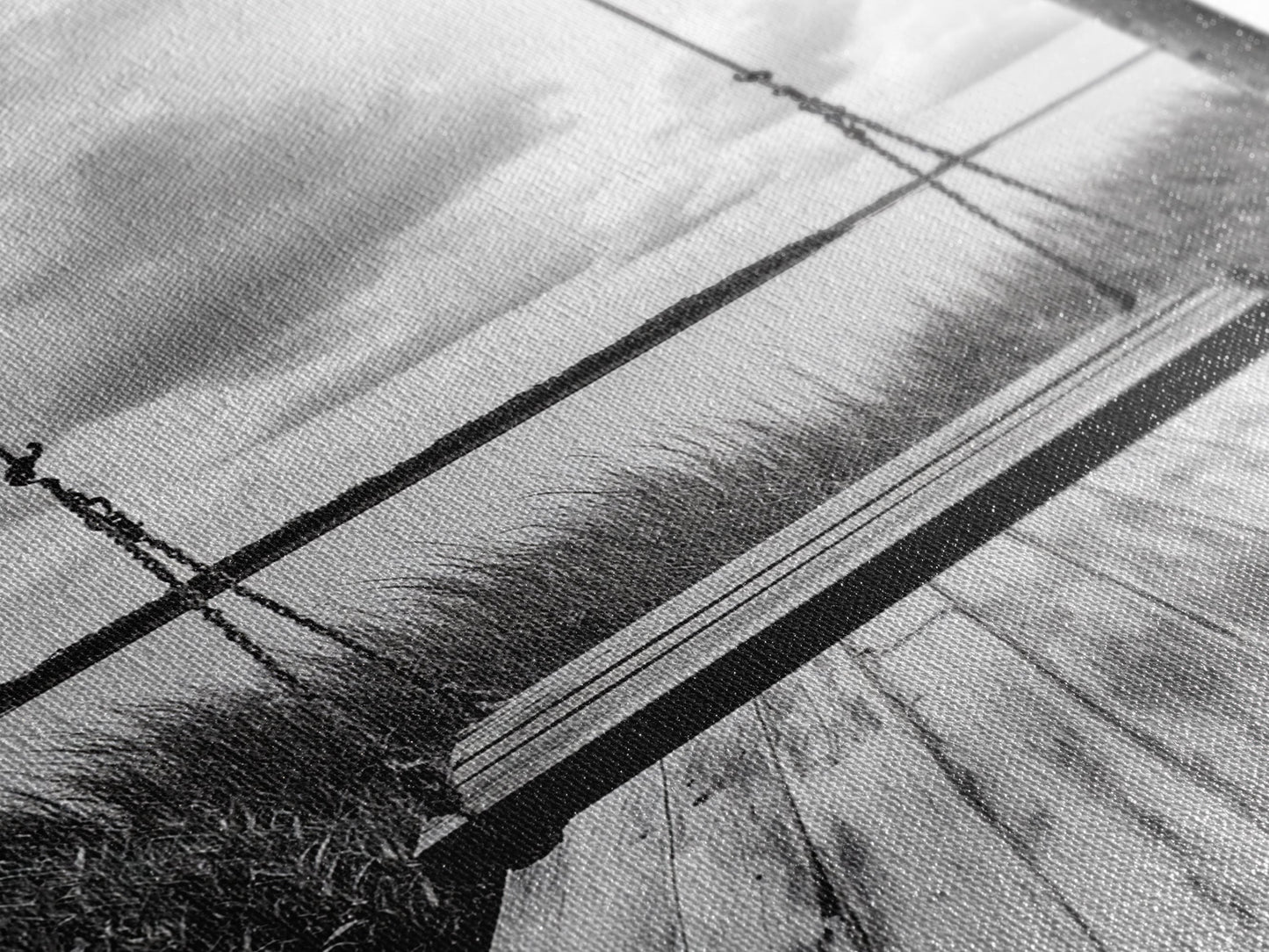 Lake Swing, Cloudy Sky, Calm View, Framed Canvas Print, Farmhouse Wall Art, Serene Kitchen Decor, Rustic Black and White Photography