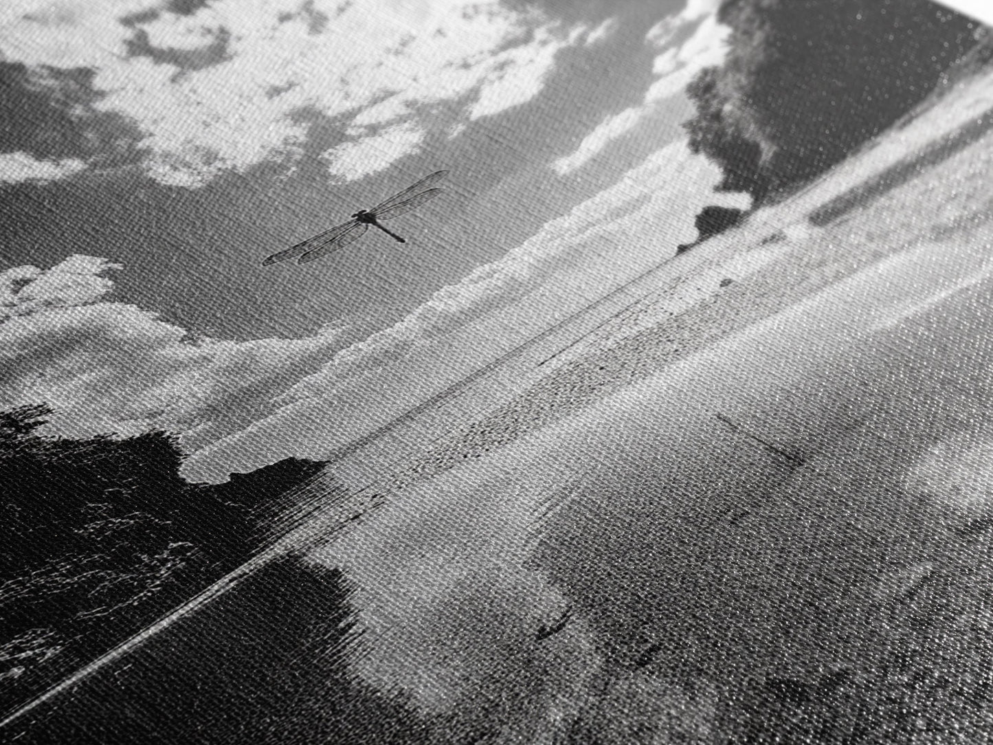 Dragonfly Flight, Beach View, Nature Dream, Framed Canvas Print, Whimsical Wall Art, Surreal Living Room Decor, Black and White Nature Style