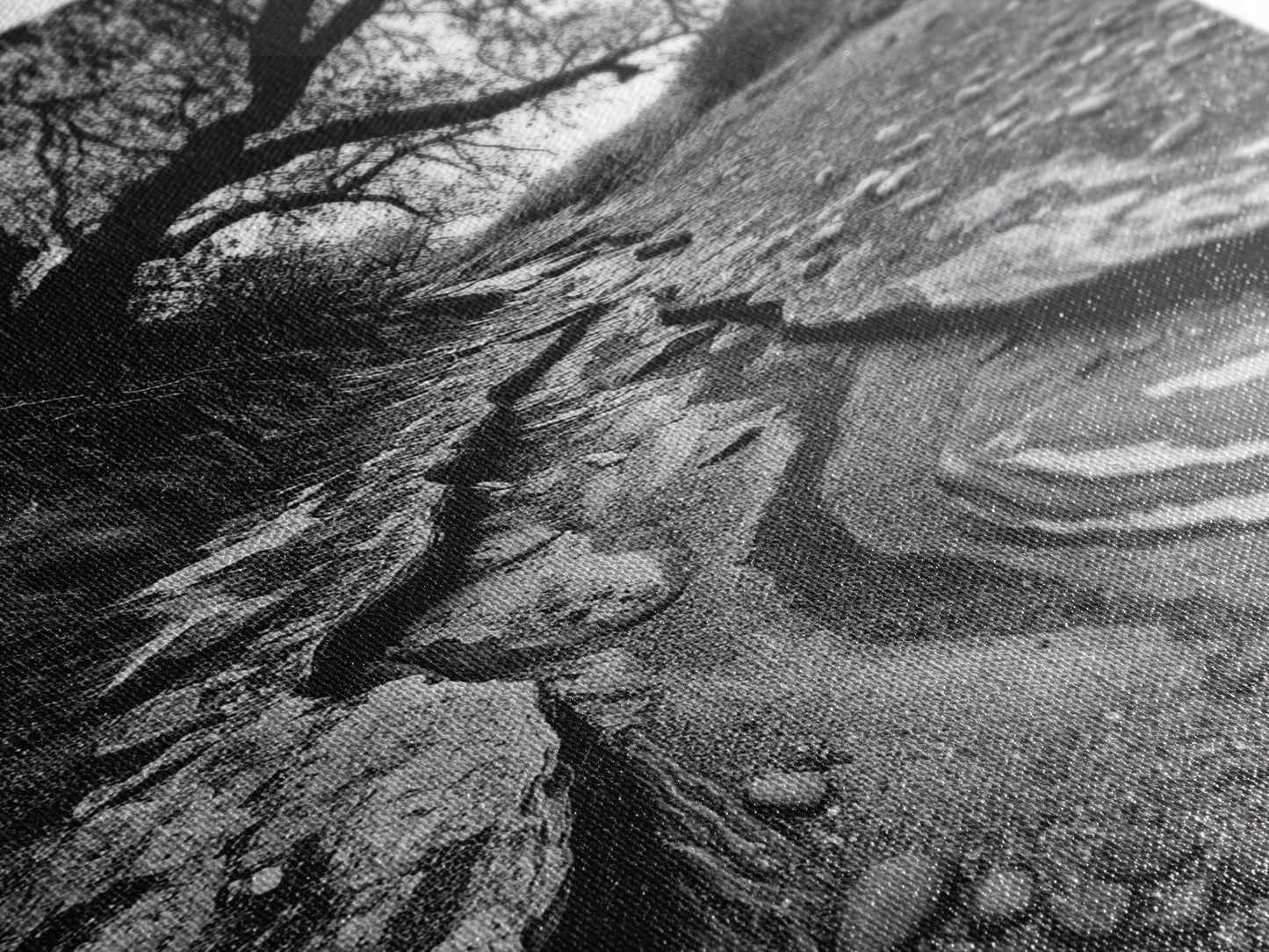 Dry Creek, Twisted Tree, Rocky Path, Framed Canvas Print, Moody Autumn Wall Art, Earthy Entryway Decor, Nature Texture Photography