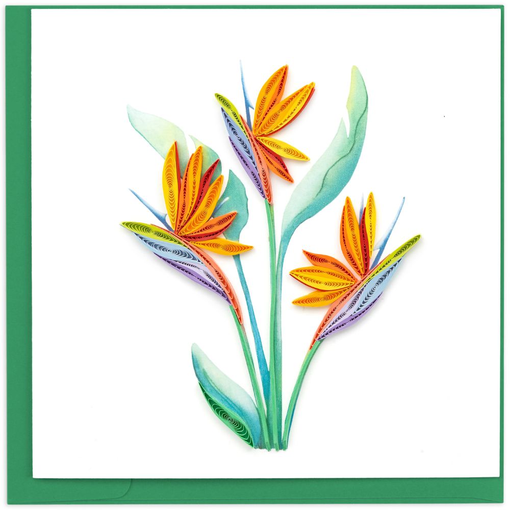 Bird of Paradise Quilled Greeting Card