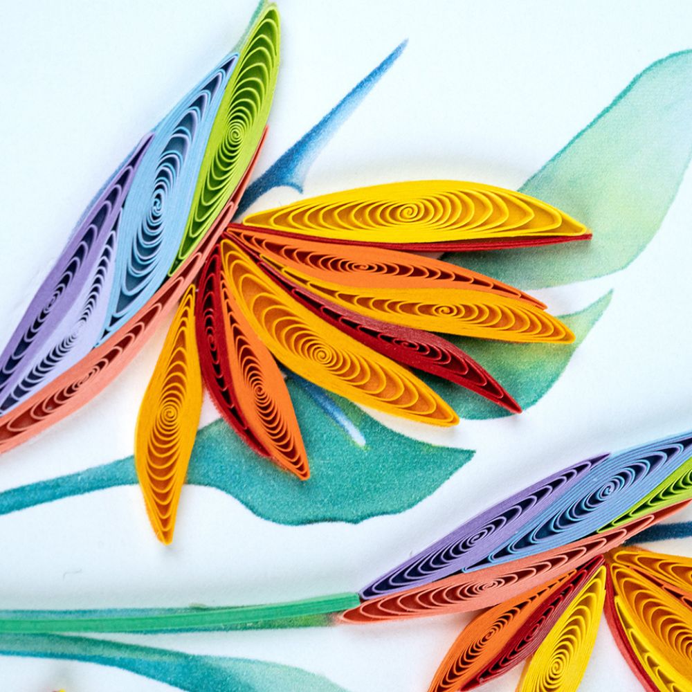 Bird of Paradise Quilled Greeting Card