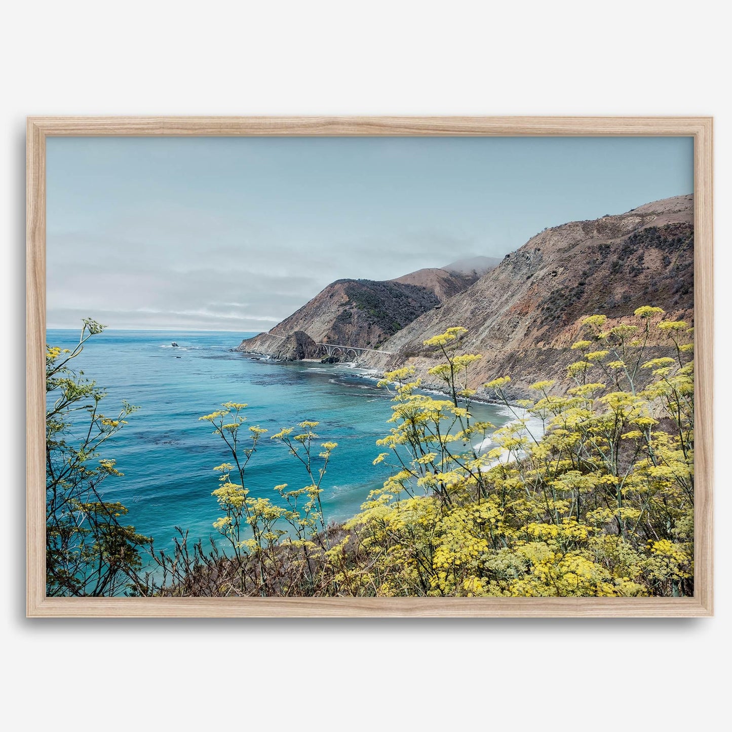 Coastal Vista