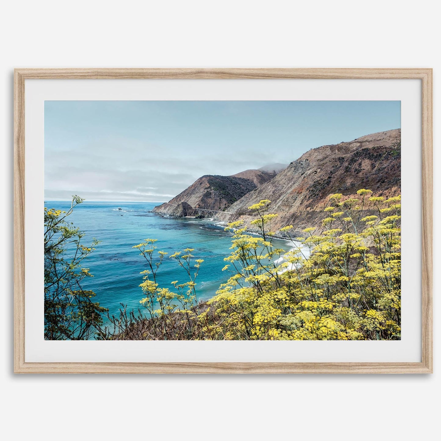 Coastal Vista