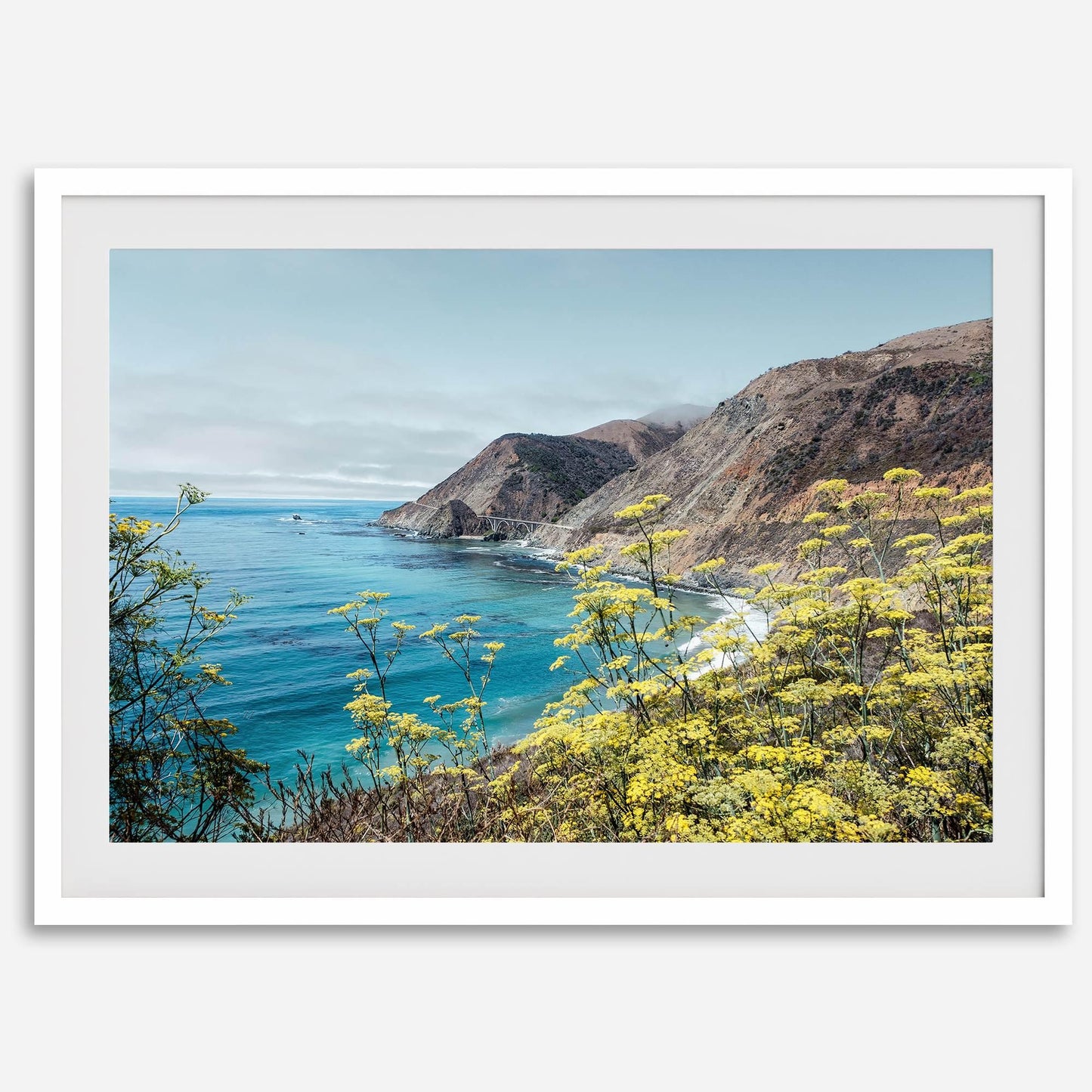 Coastal Vista