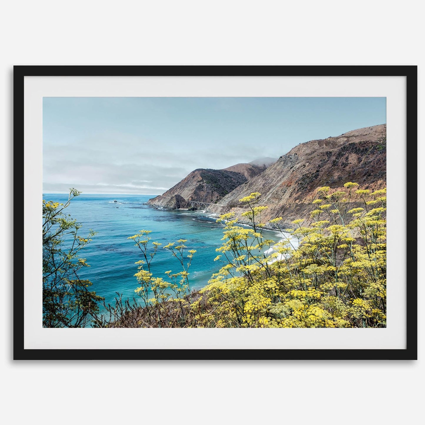 Coastal Vista
