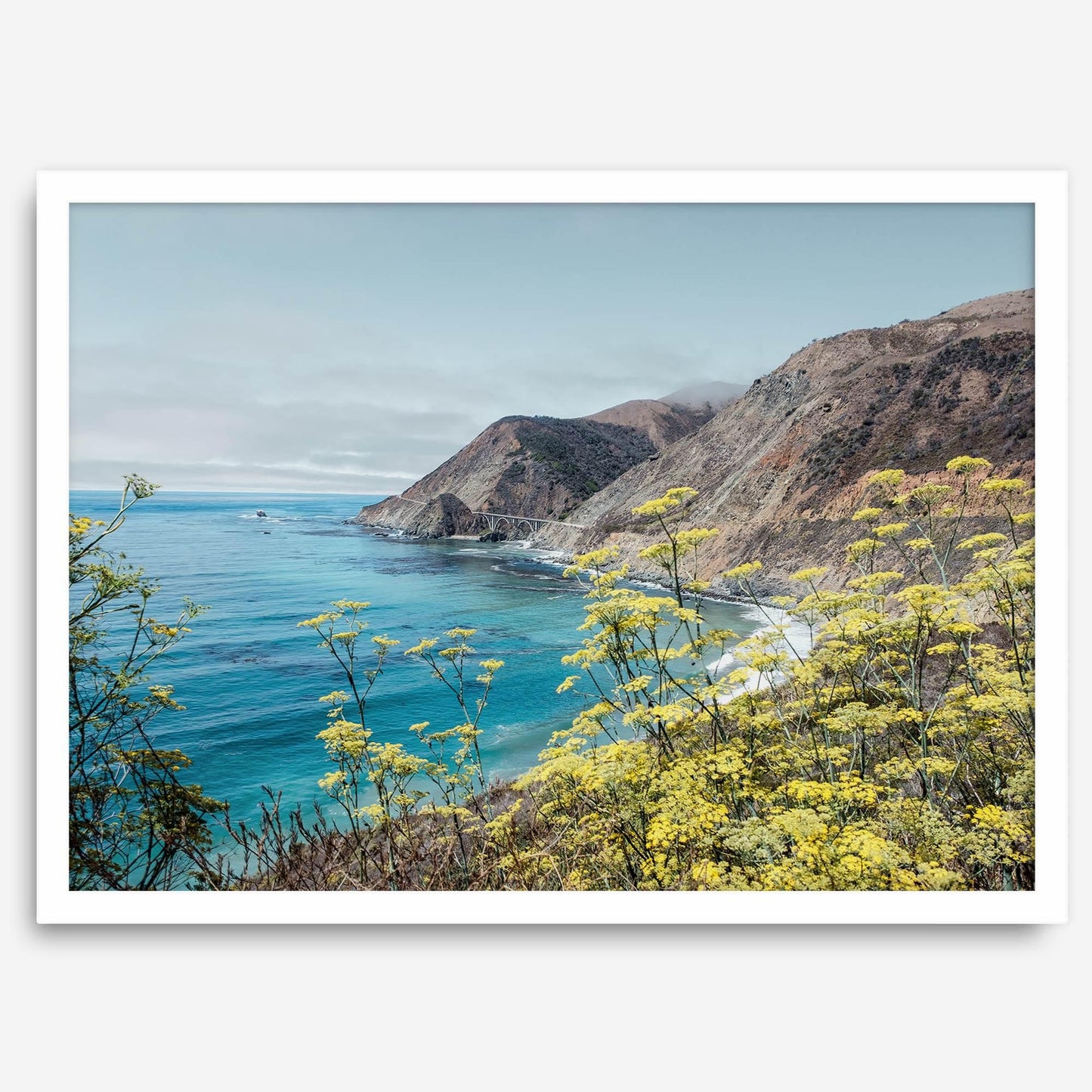 Coastal Vista