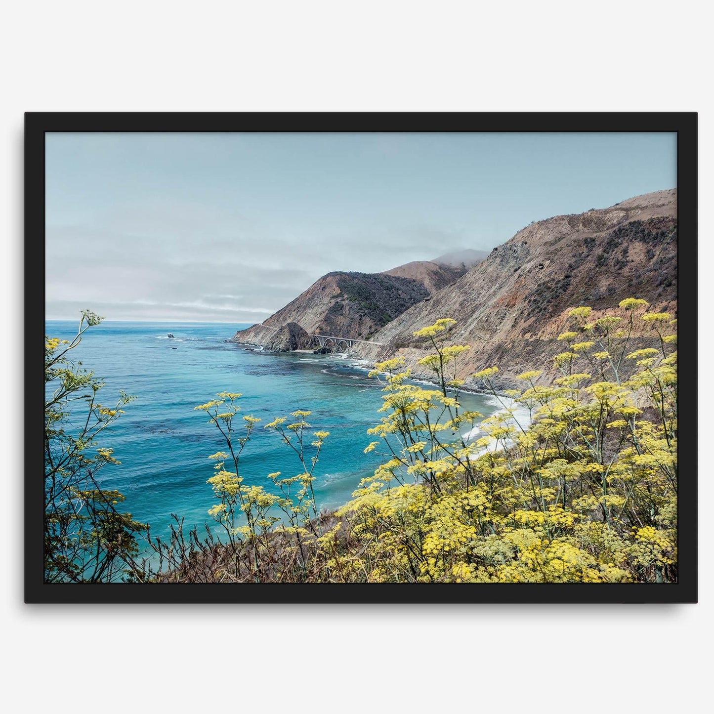 Coastal Vista