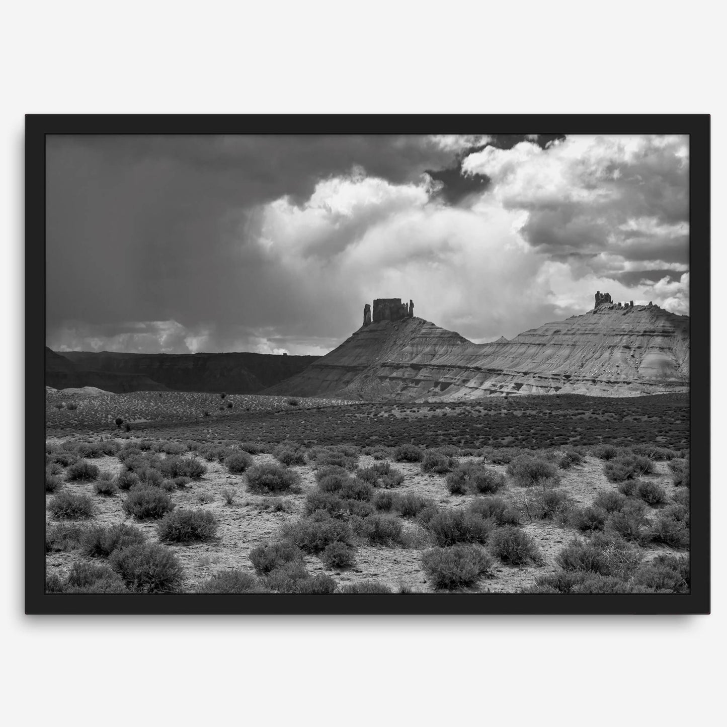 Utah Desert