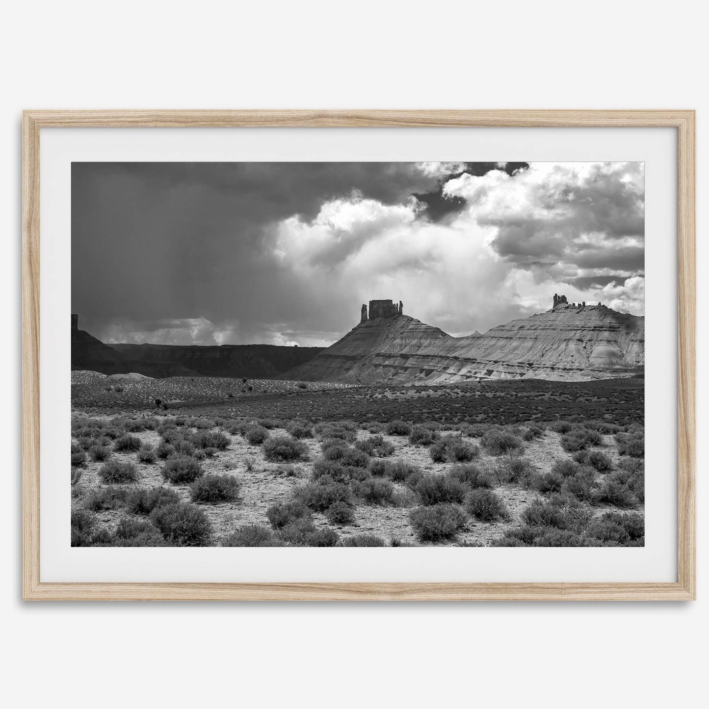 Utah Desert