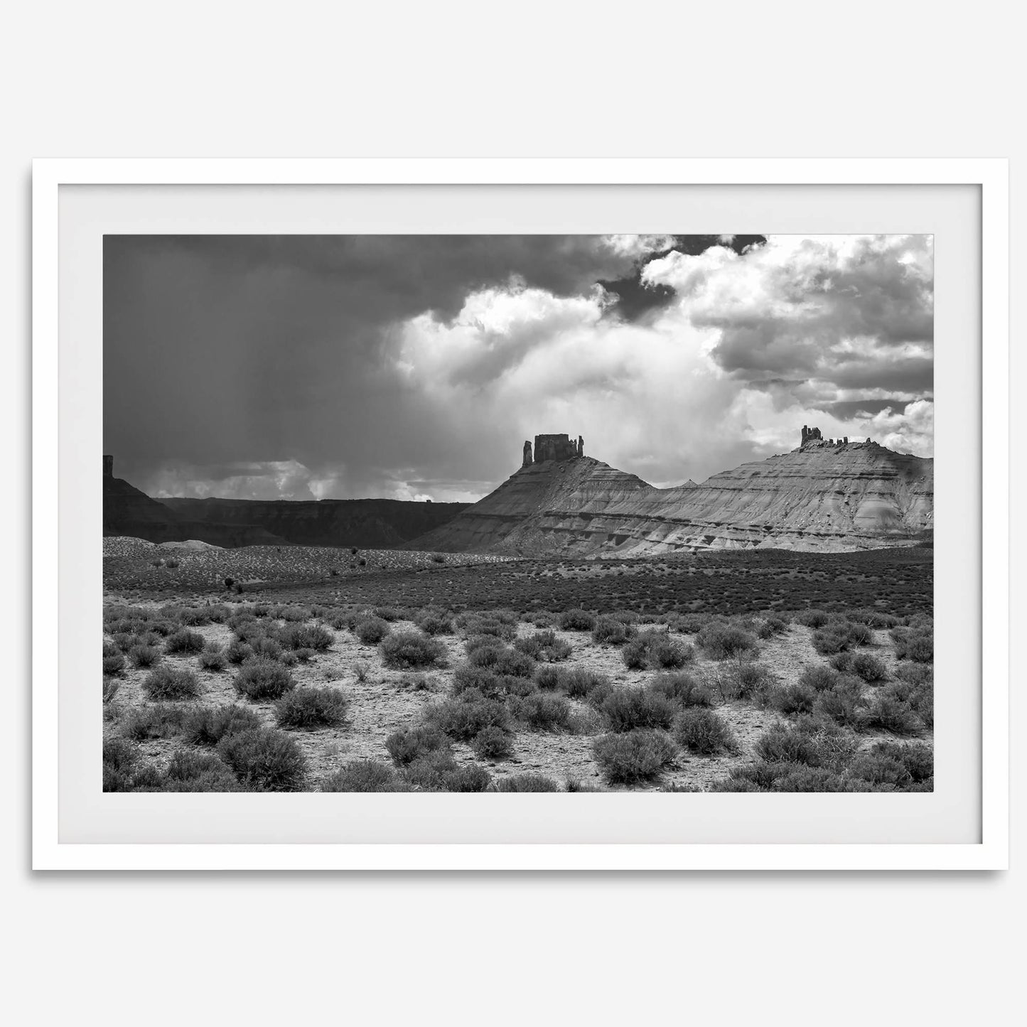 Utah Desert