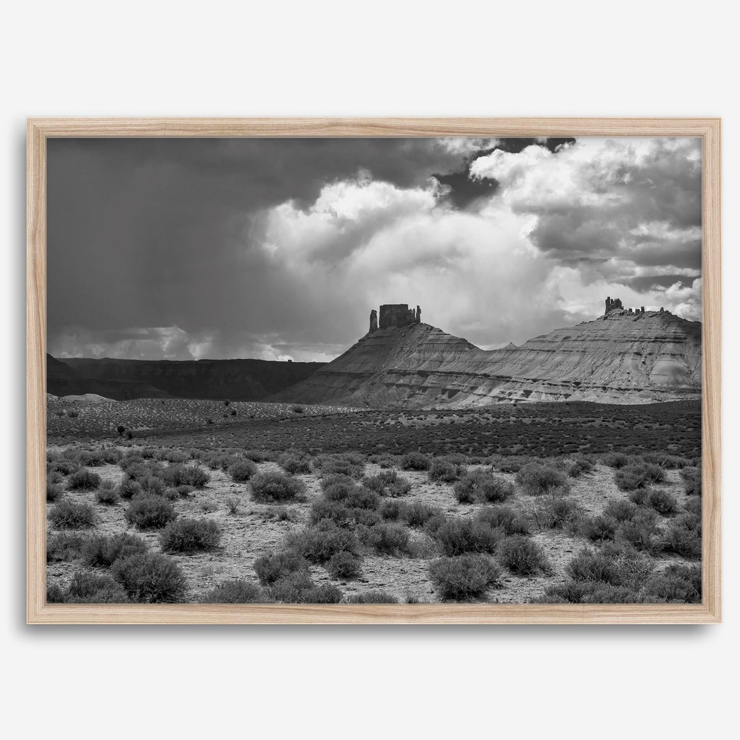 Utah Desert