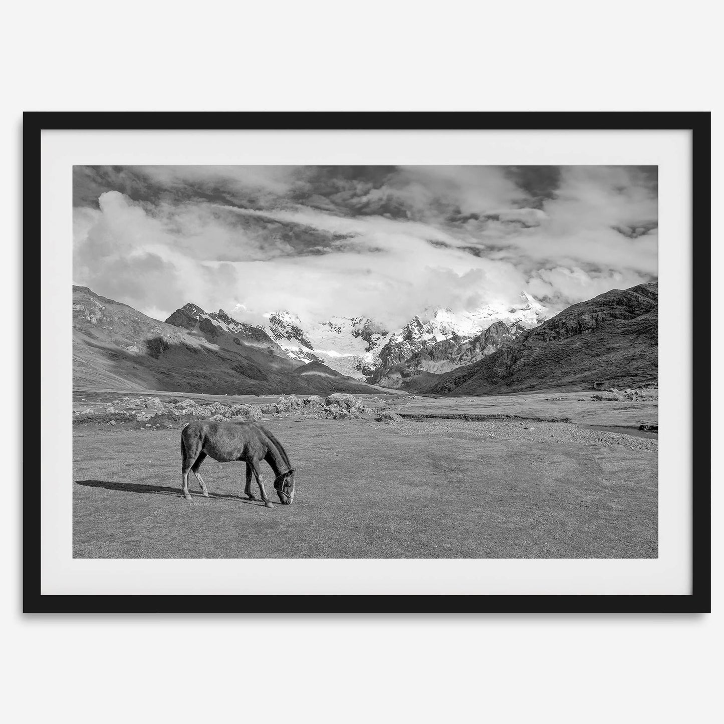 Mountain Horse B&W