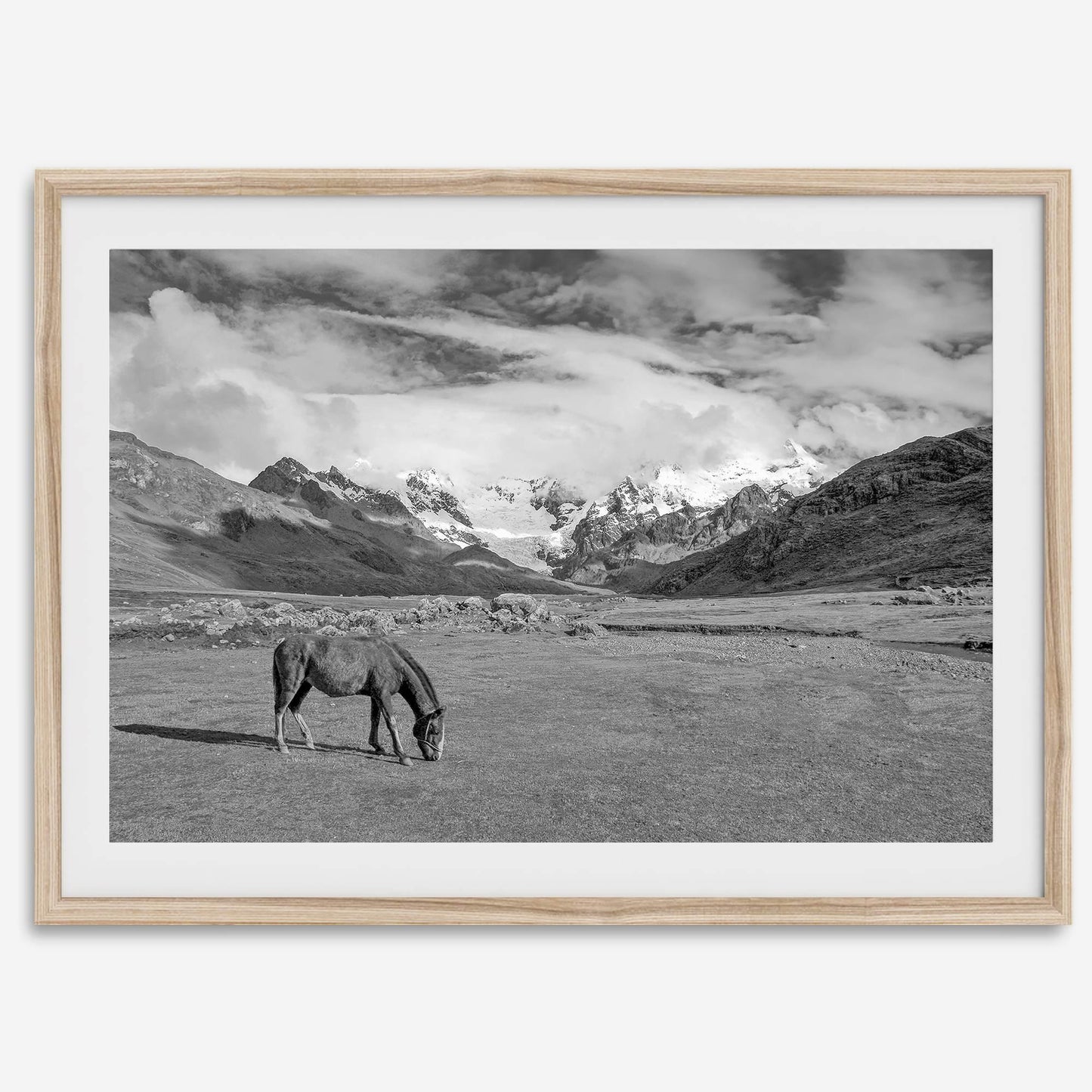 Mountain Horse B&W