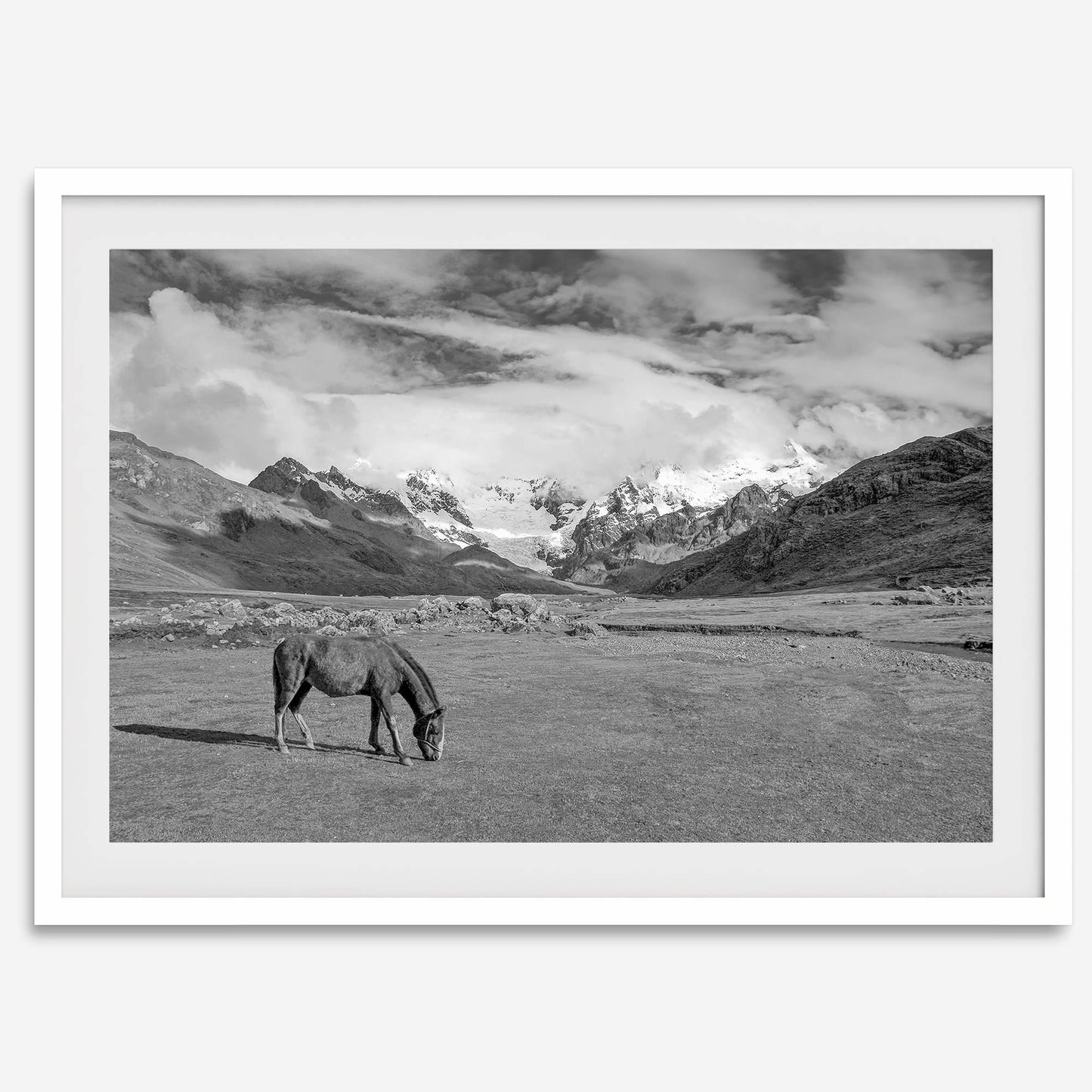 Mountain Horse B&W