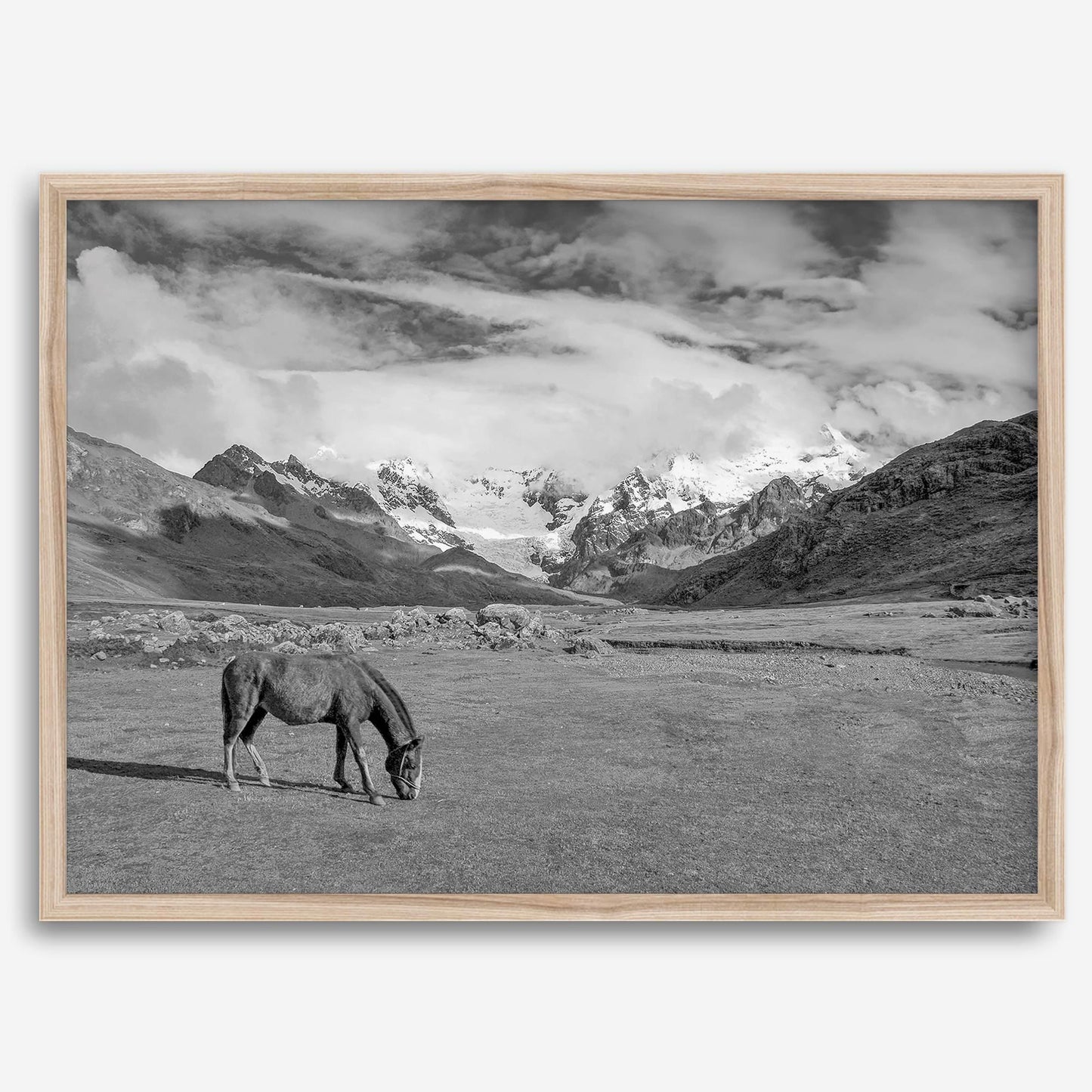 Mountain Horse B&W