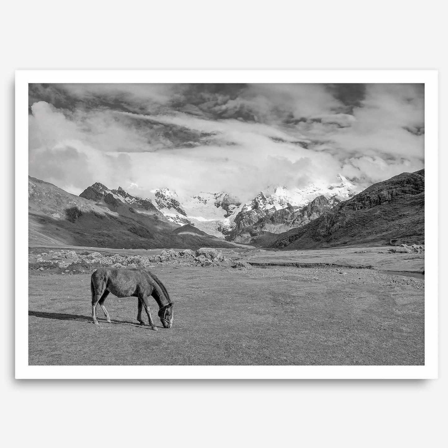 Mountain Horse B&W