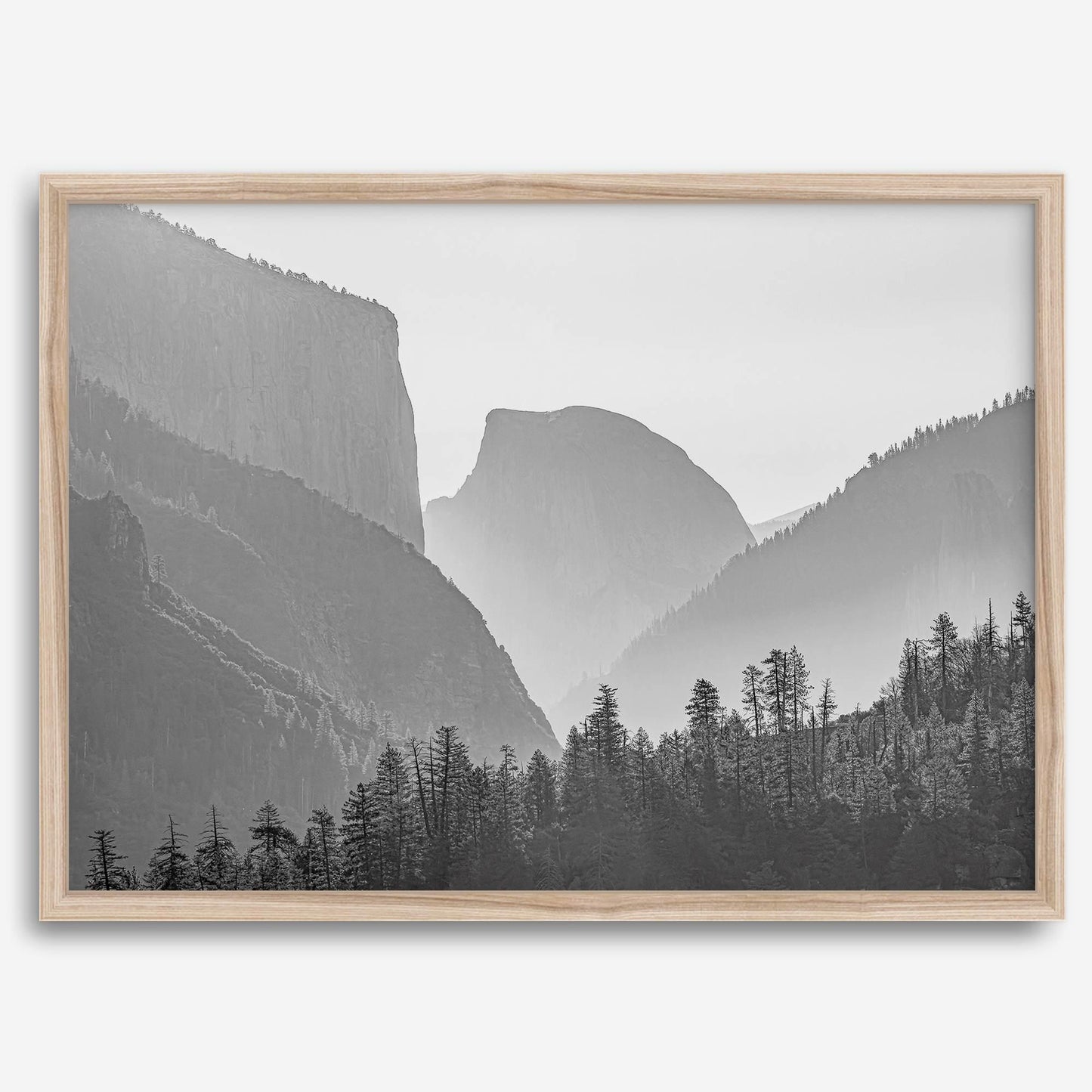 Yosemite Shadows