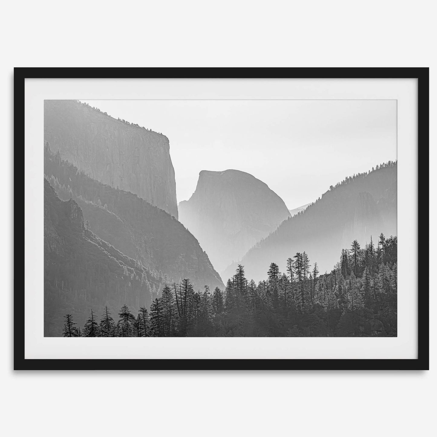 Yosemite Shadows