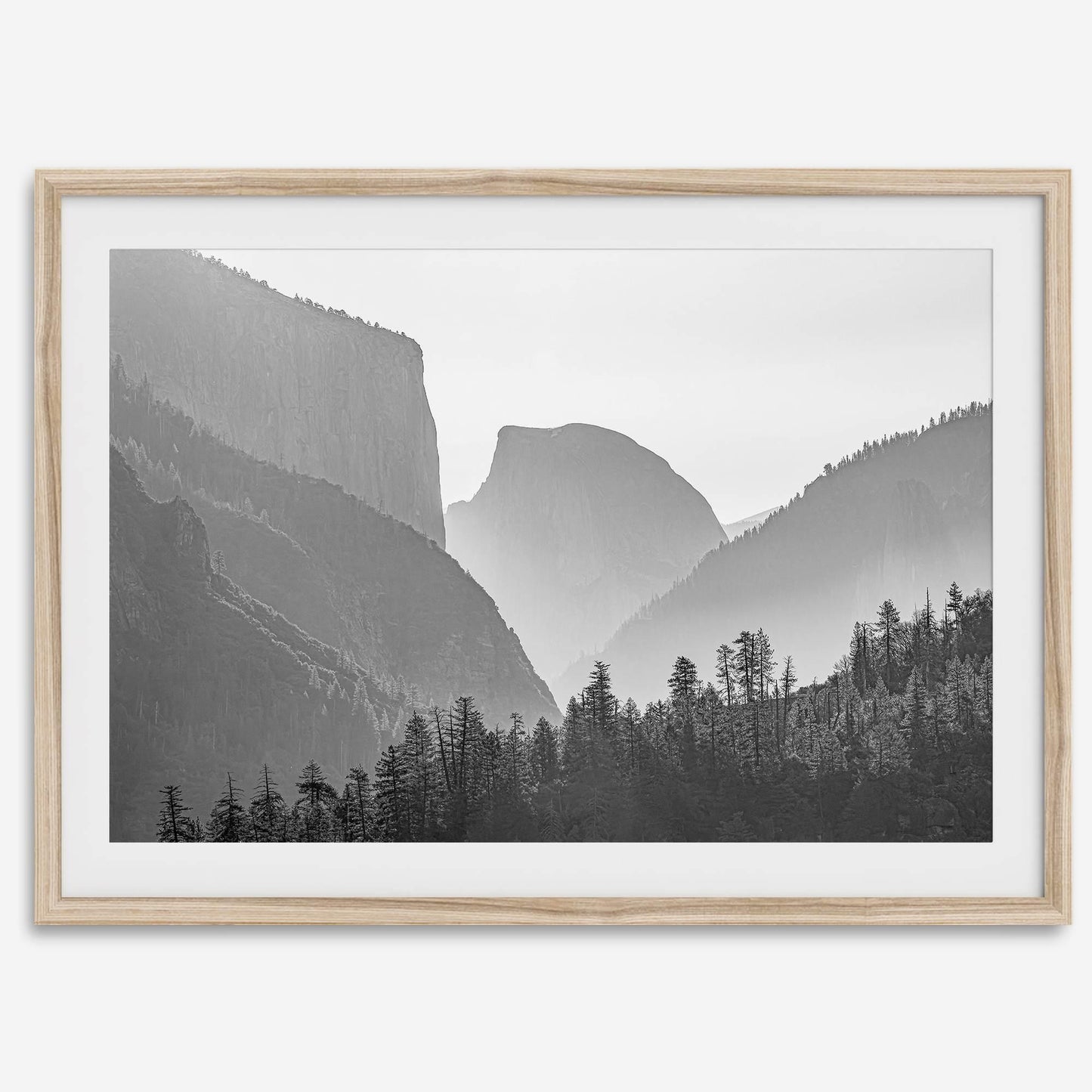 Yosemite Shadows