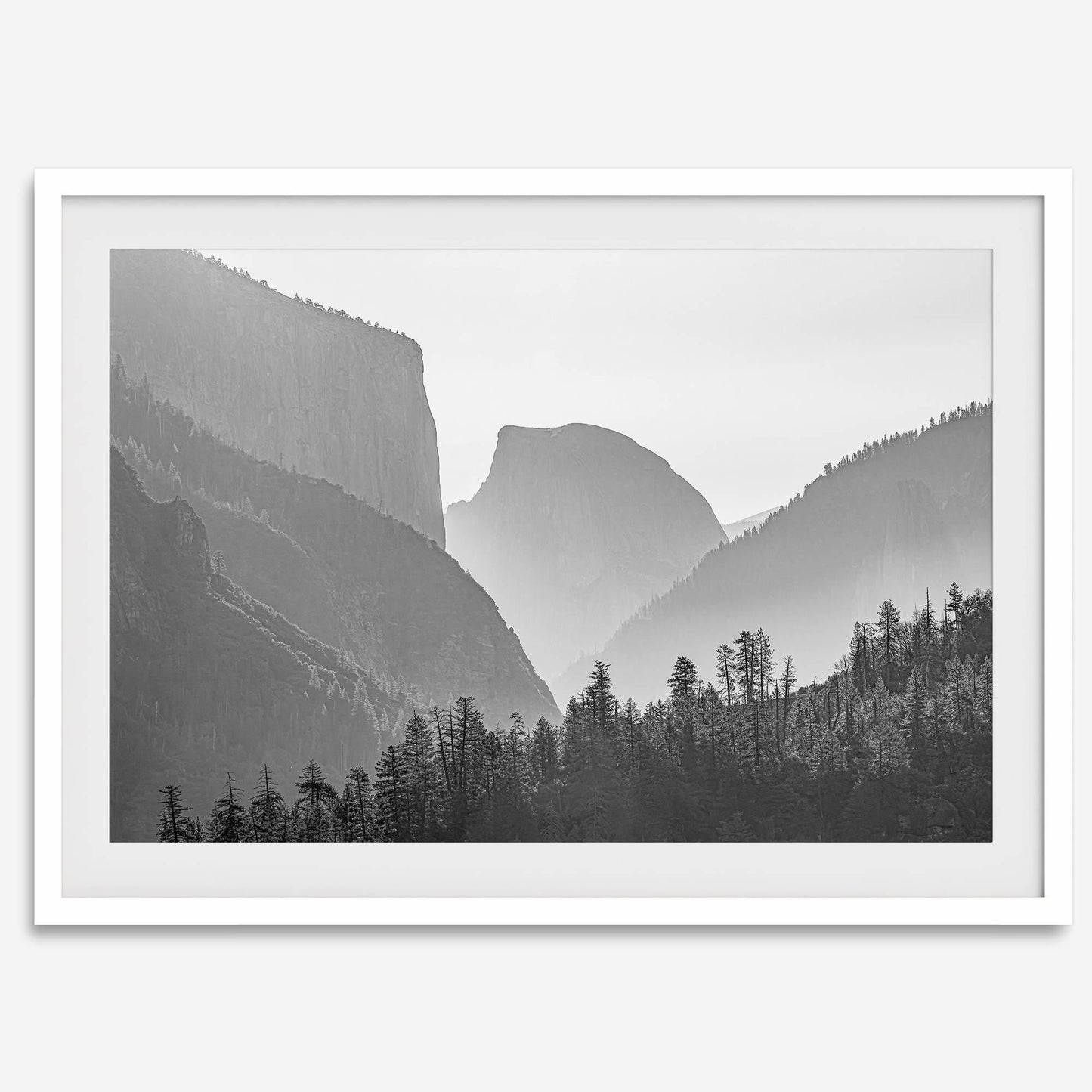 Yosemite Shadows