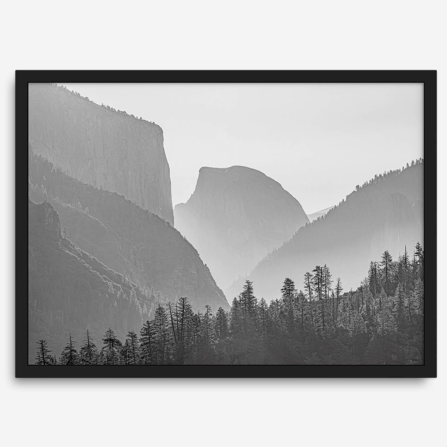 Yosemite Shadows
