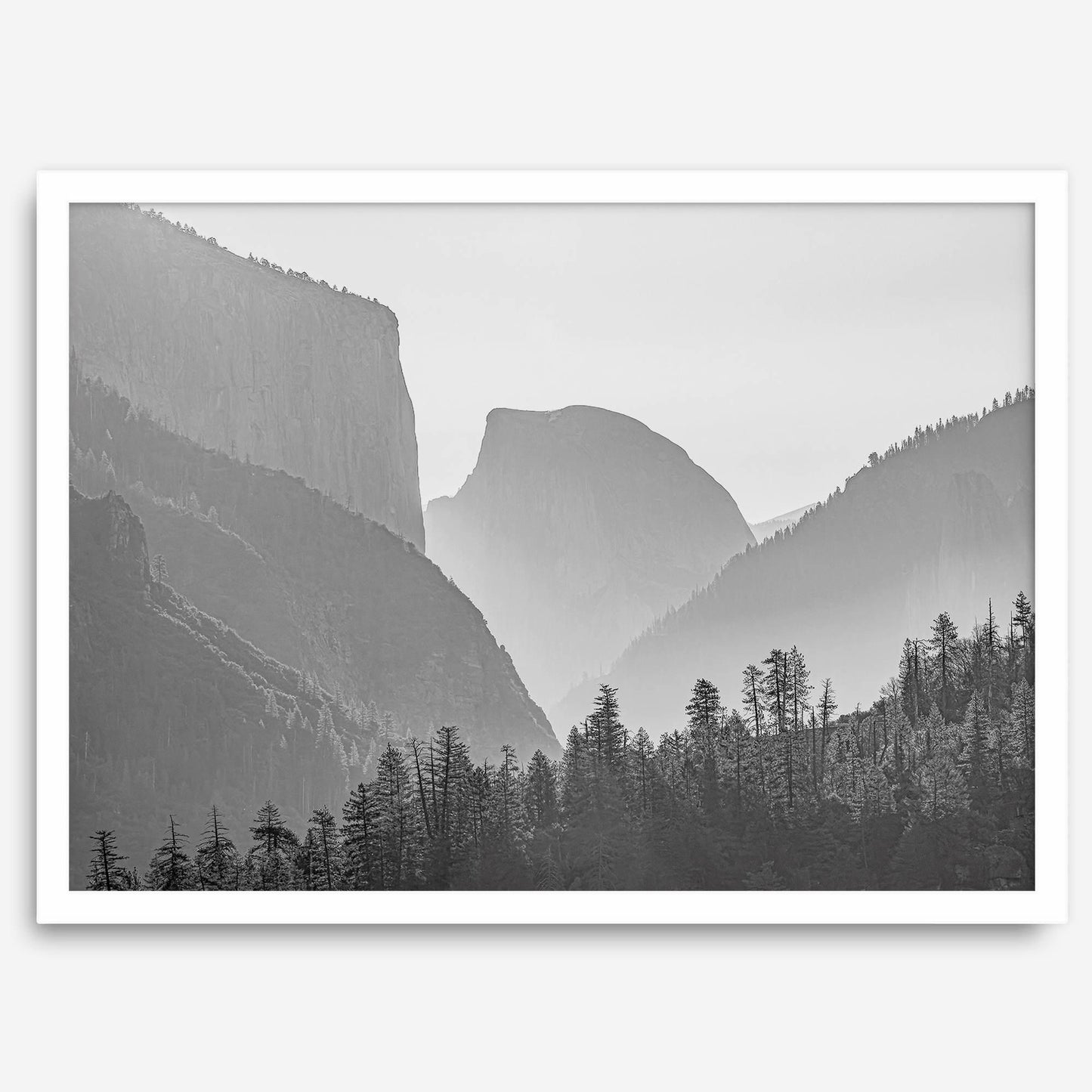 Yosemite Shadows