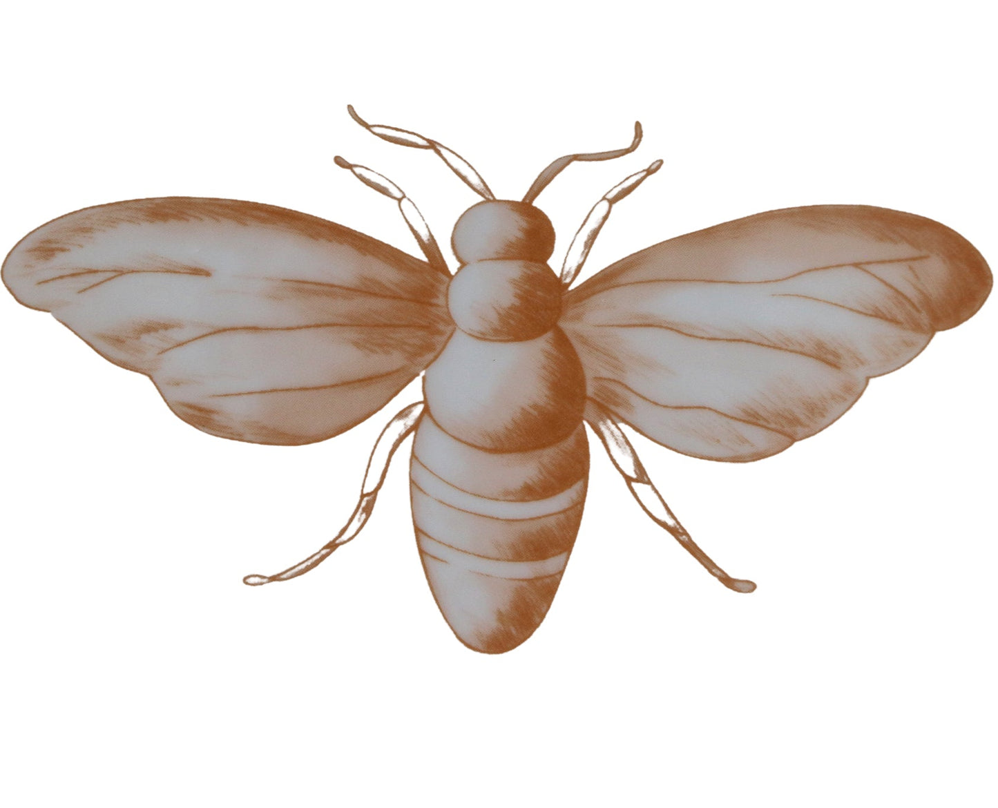 Bumble Homecoming Scalloped Starter Plate - Case of 12 Plates (+3 Bonus Plates)