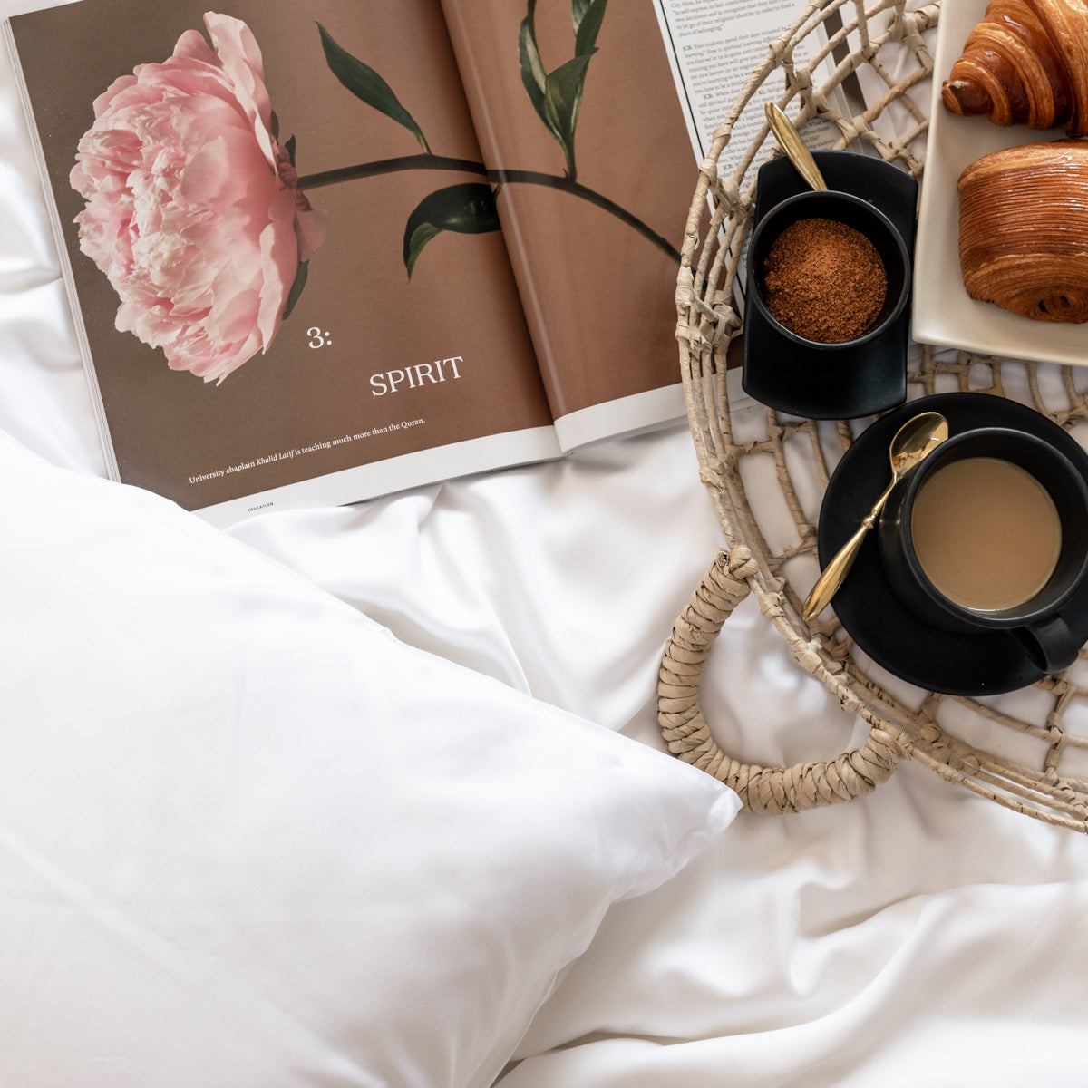 Organic Bamboo Sateen Pillowcase Set