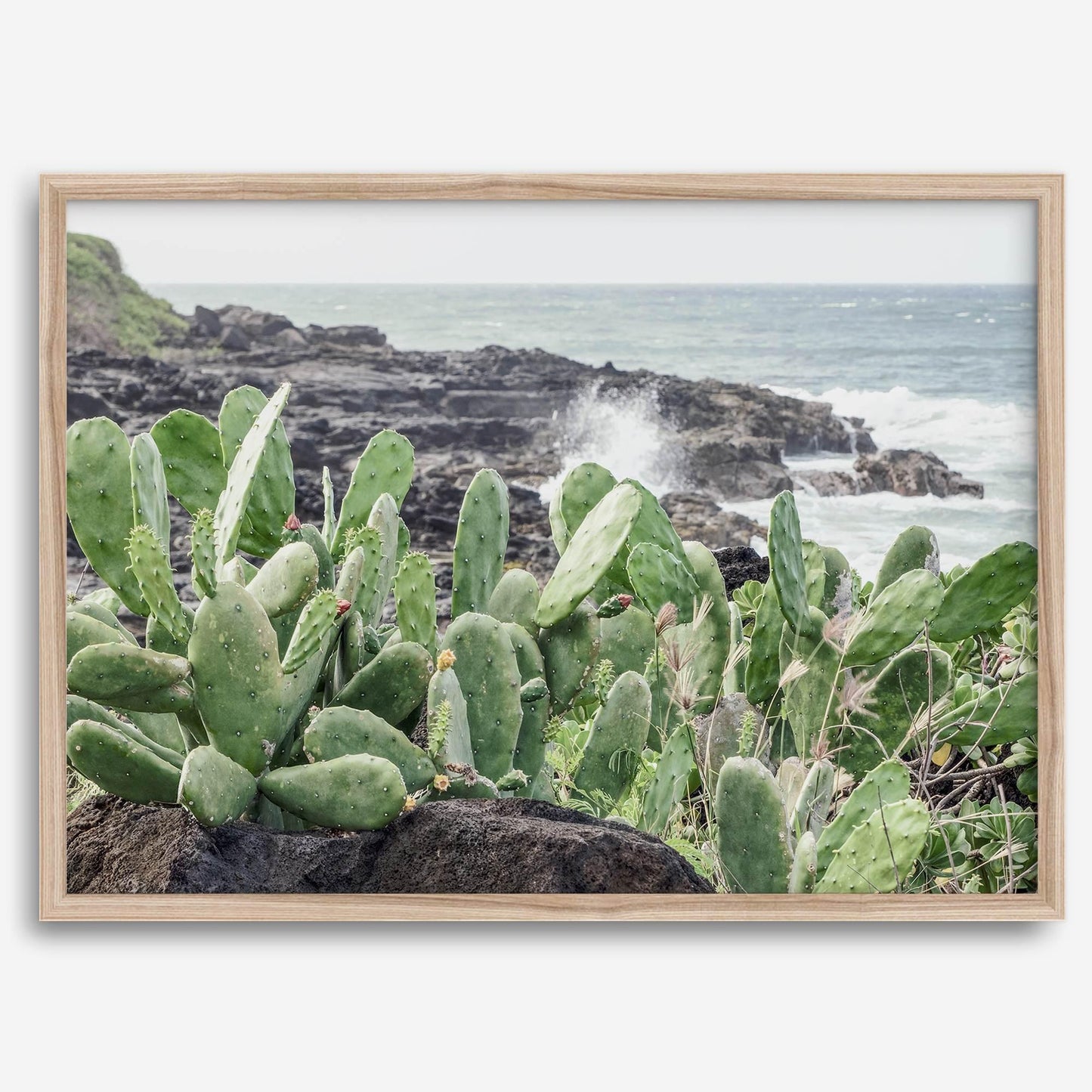Coastal Cactus wall art featuring green prickly pear cacti on dark volcanic rocks with ocean waves crashing behind on Kauai.