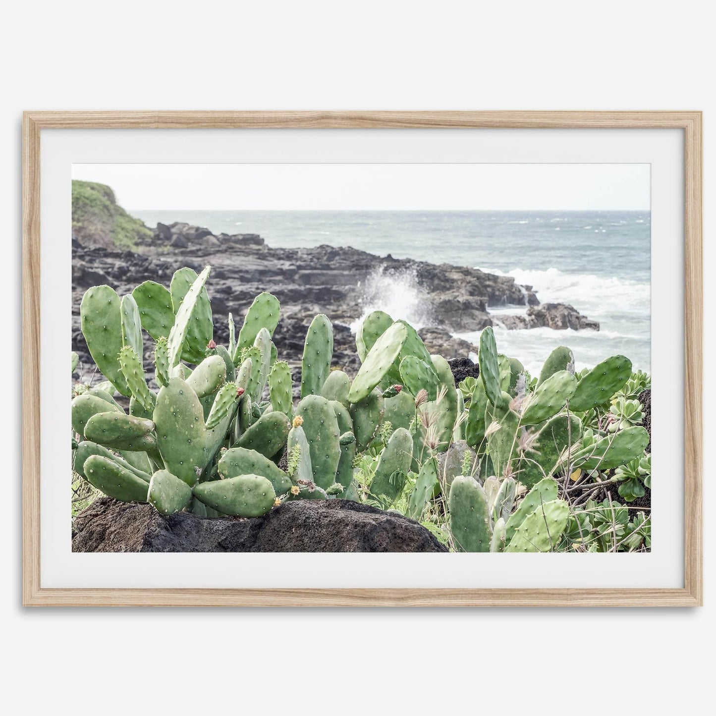 Coastal Cactus on rugged Kauai shores with green cacti, dark volcanic rocks, and crashing ocean waves.