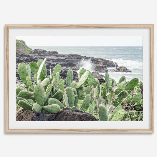 Coastal Cactus on rugged Kauai shores with green cacti, dark volcanic rocks, and crashing ocean waves.