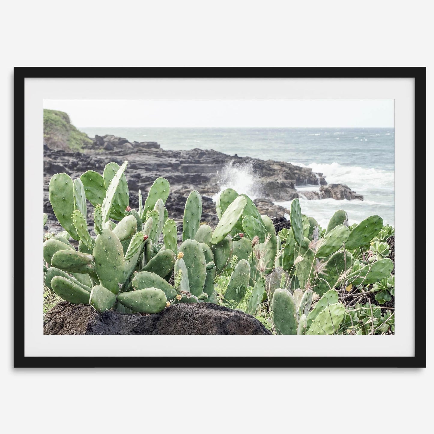 Coastal Cactus art print showing green paddle cacti on volcanic rocks by crashing ocean waves on Kauai.