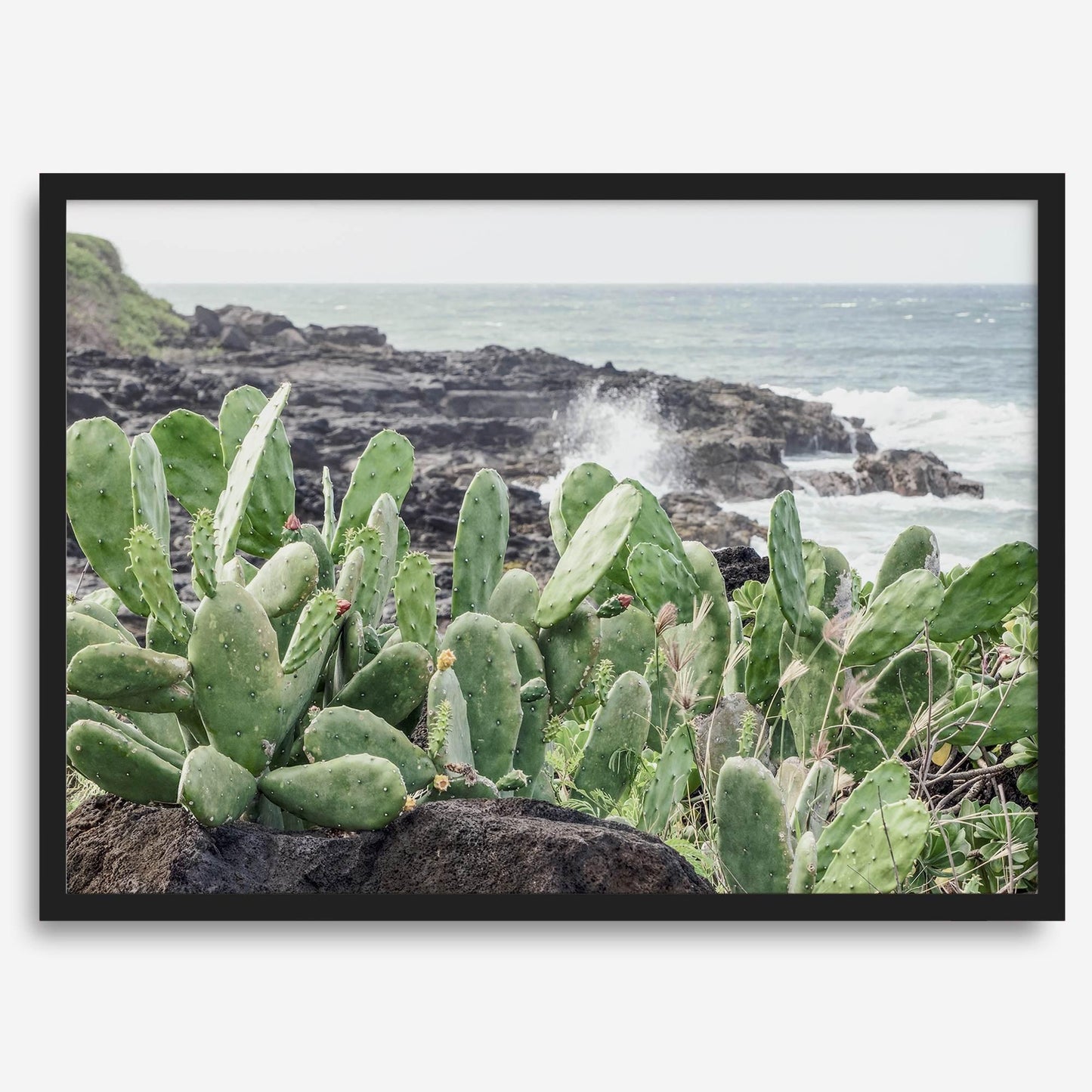 coastal cactus wall art featuring green cacti on dark volcanic rocks with waves crashing in Kauai.