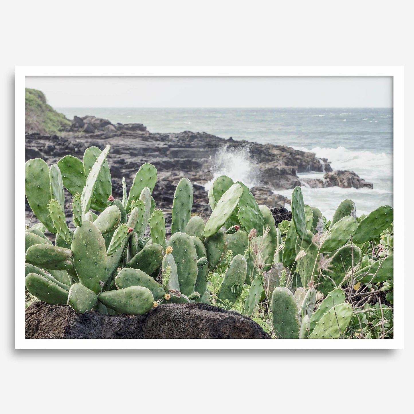 Coastal Cactus wall art showing green cacti on dark volcanic rocks with crashing ocean waves on Kauai's rugged shore.