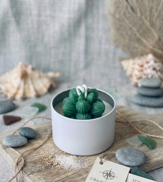 Cactus Jar Candle — Emerald Leaf Succulent | Soy Wax, Handmade in USA