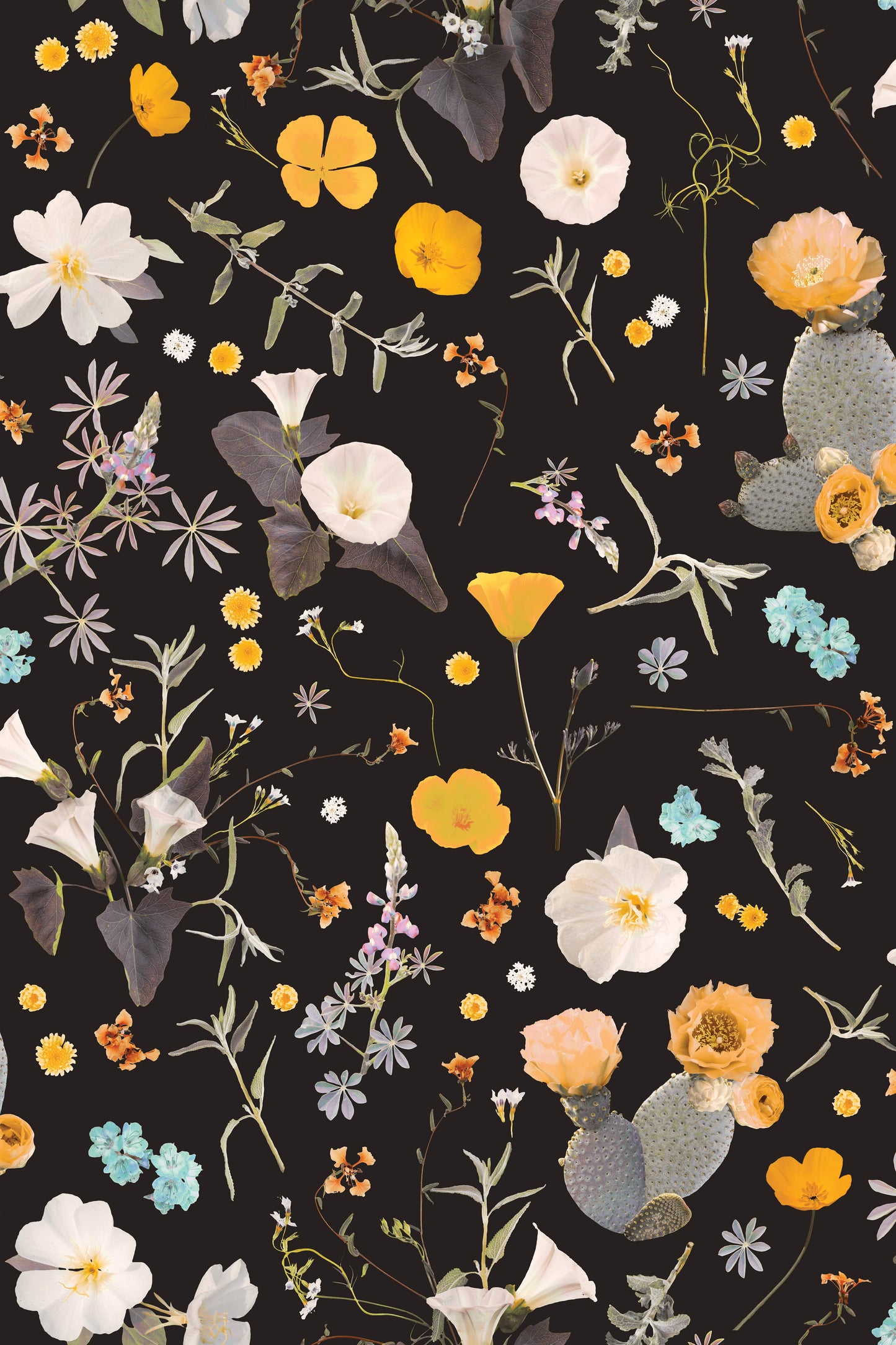 California Native Wallpaper, black & multicolor
