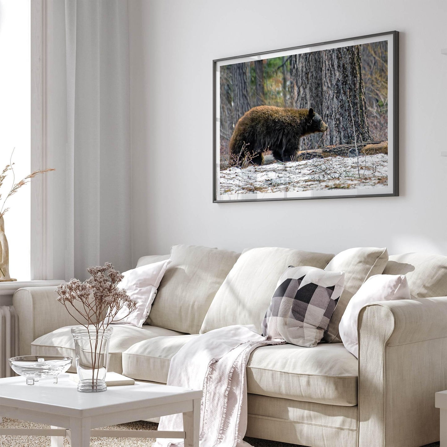 California Bear