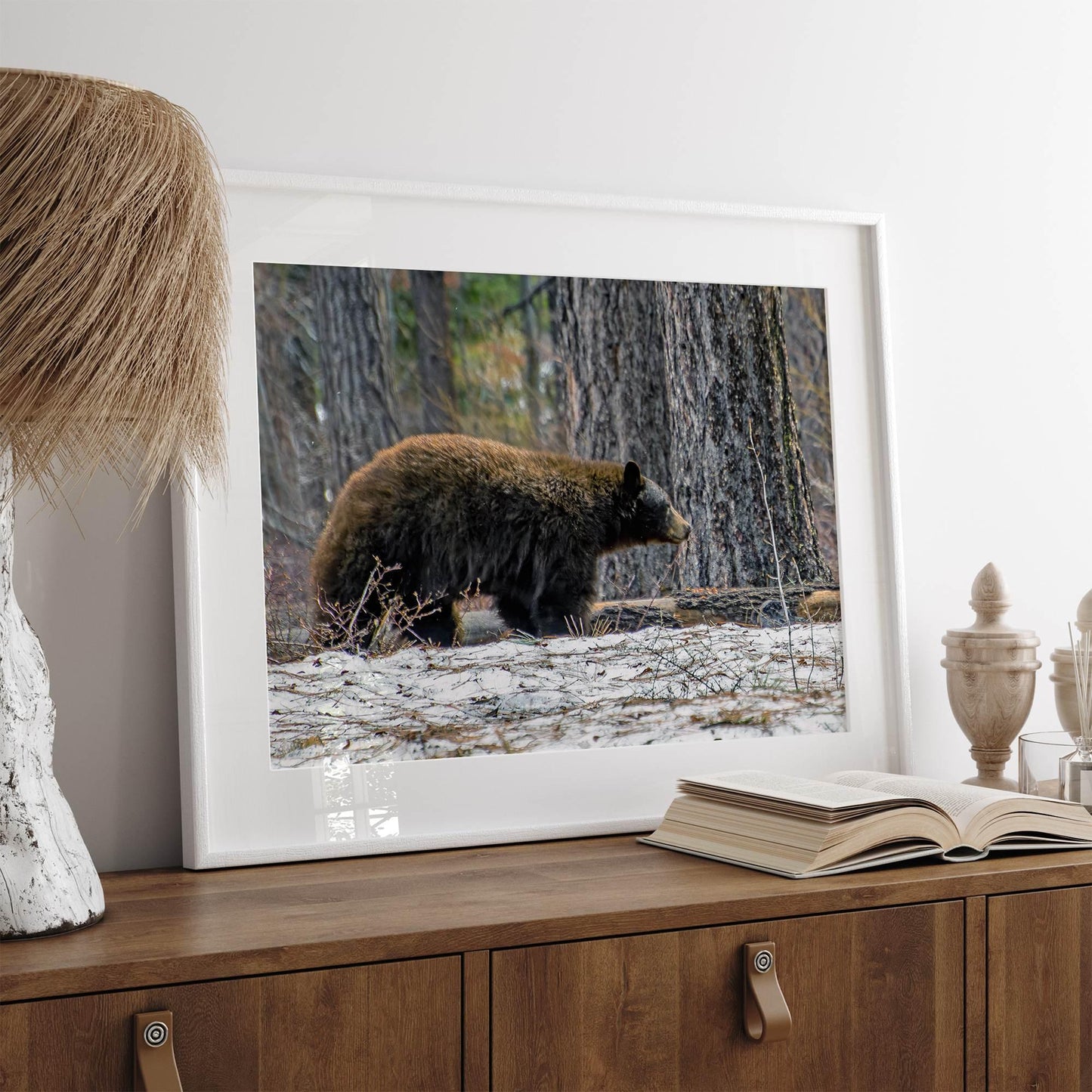 California Bear