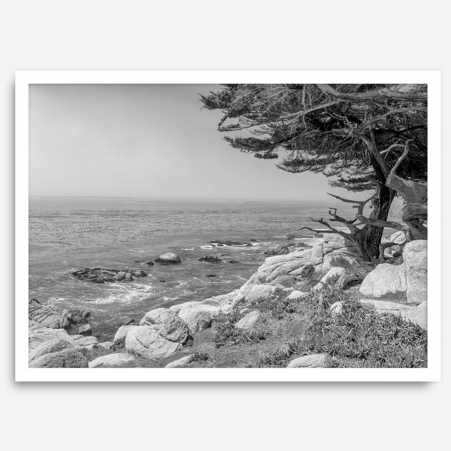 Ocean View B&W