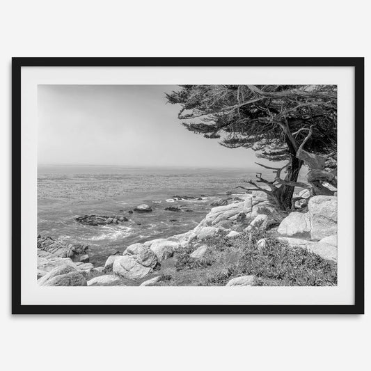 Ocean View B&W
