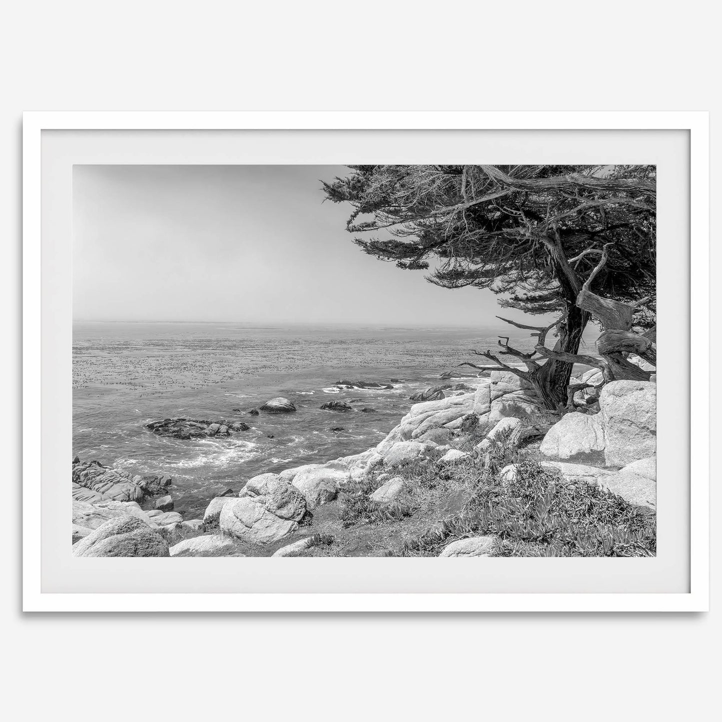 Ocean View B&W