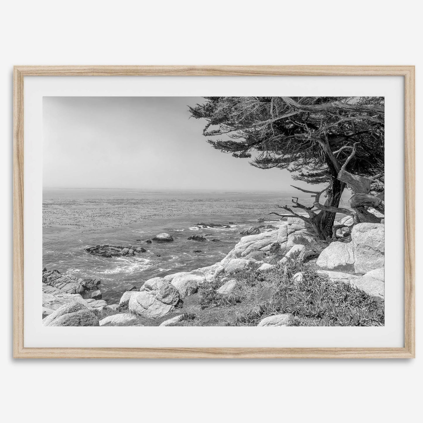 Ocean View B&W