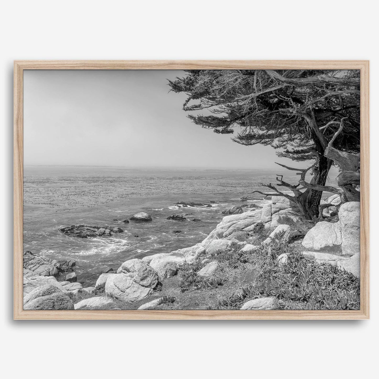 Ocean View B&W