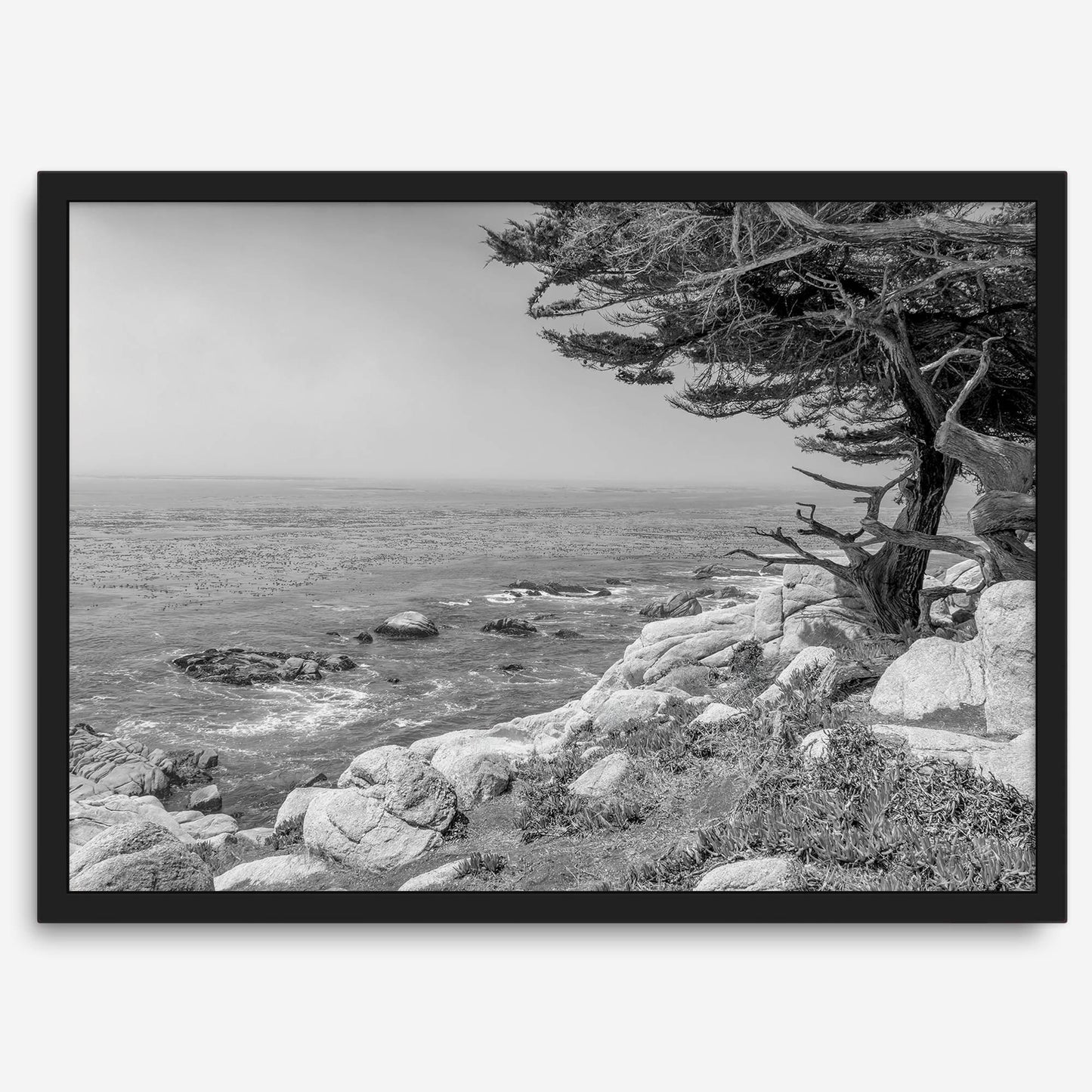 Ocean View B&W