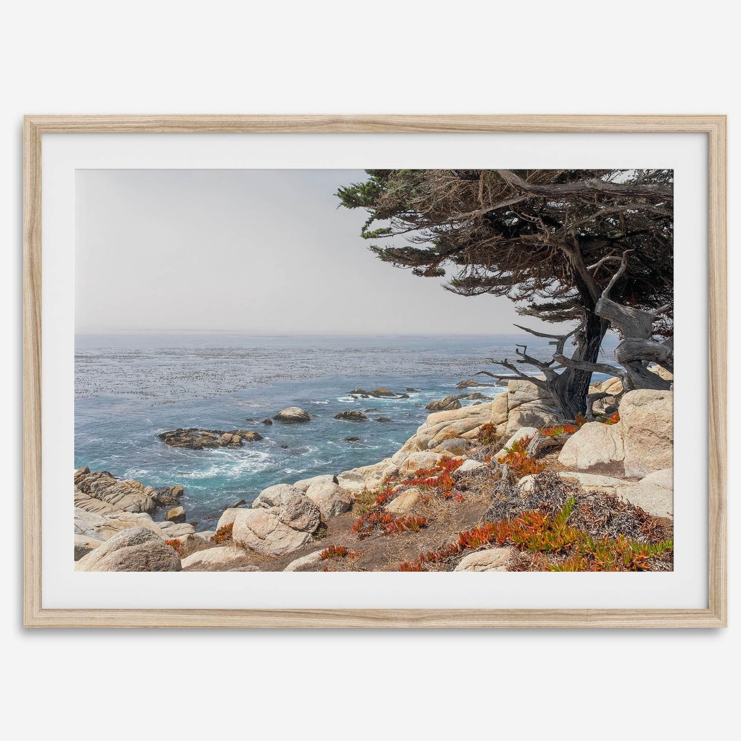 Ocean View