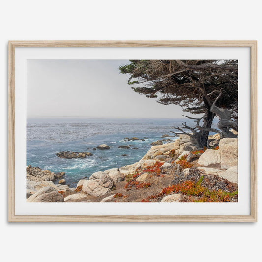 Ocean View