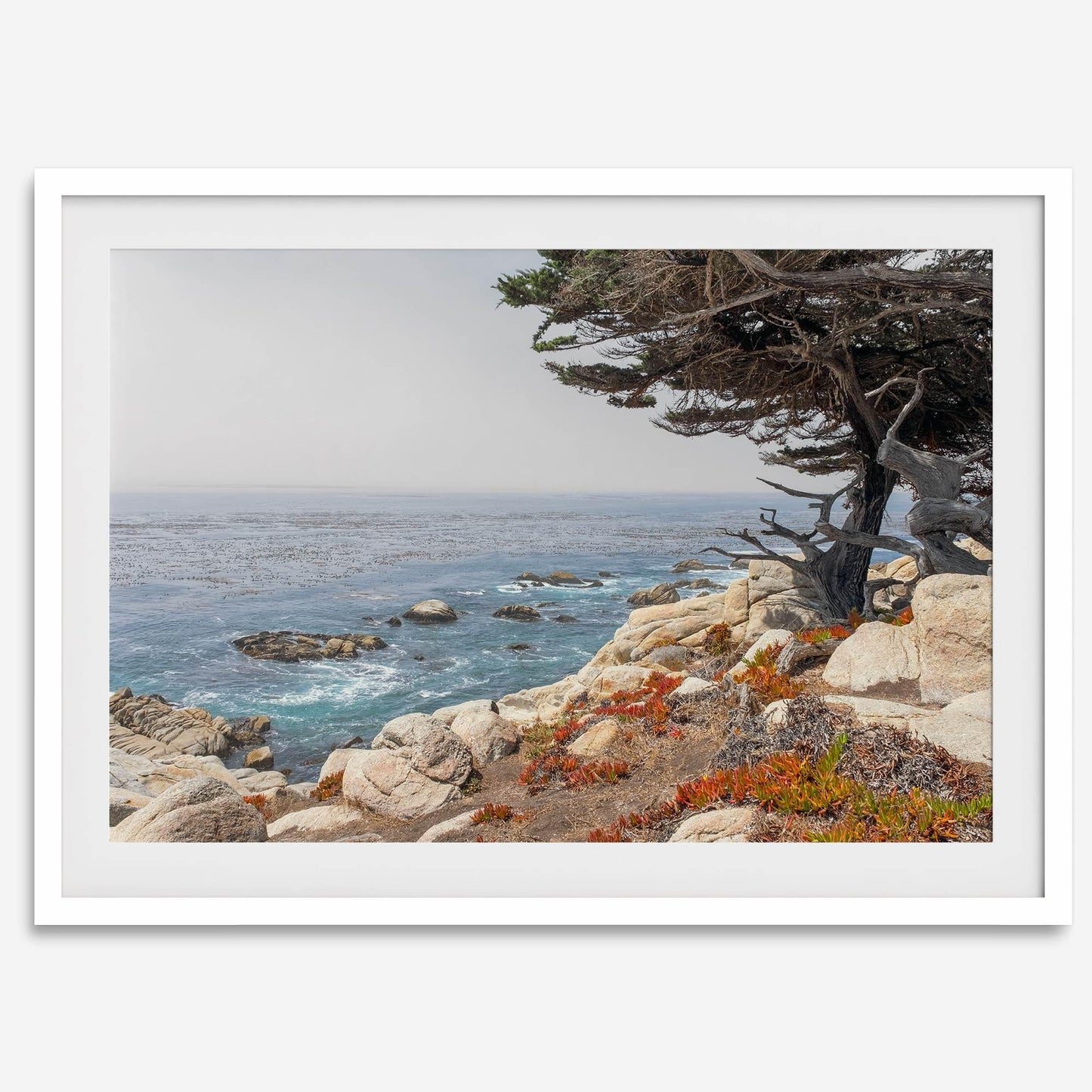 Ocean View