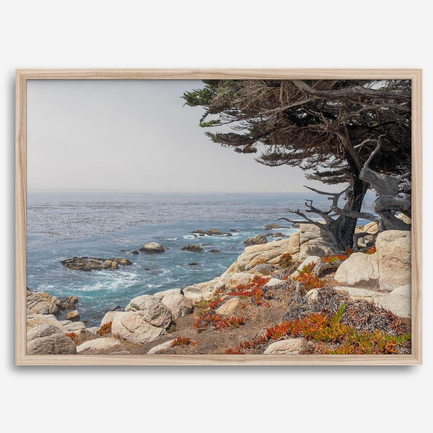 Ocean View