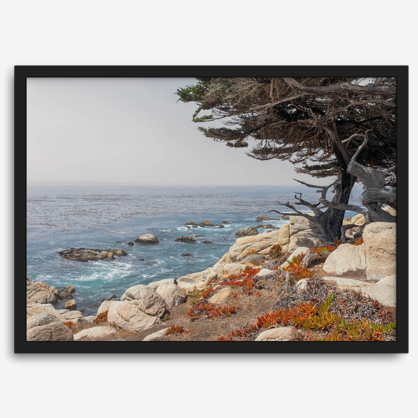 Ocean View