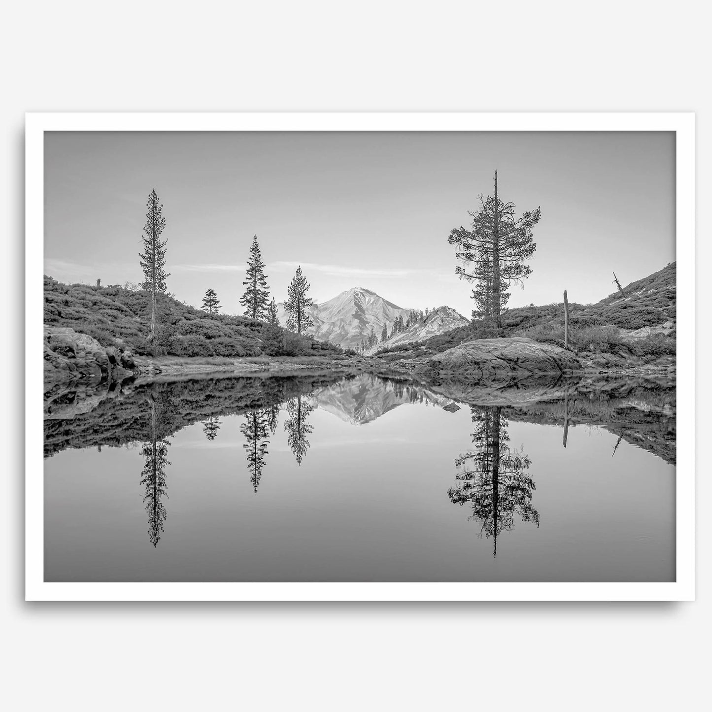 Nature Reflected